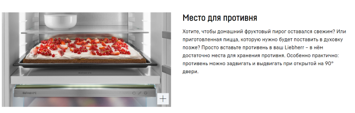 Встраиваемый холодильник Liebherr ICNd 5603-20 001 Pure