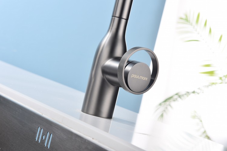 Смеситель для кухни Paulmark URBAN STARKE